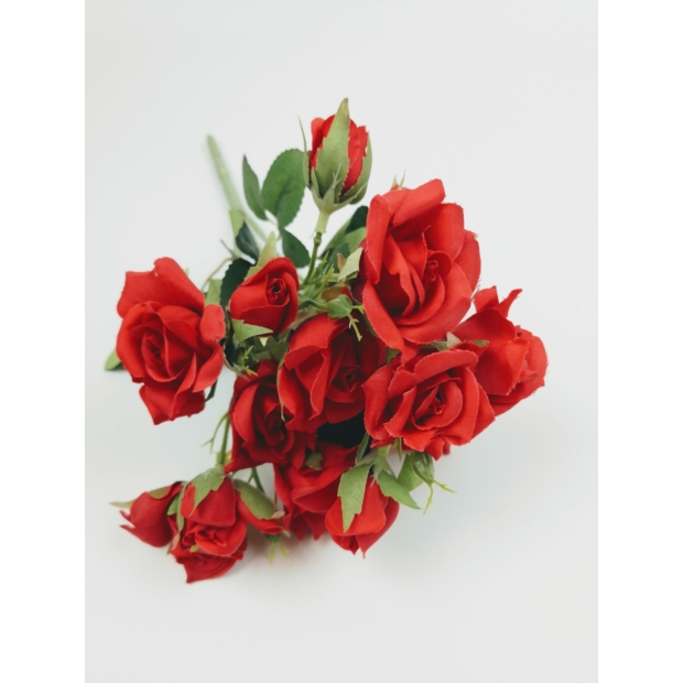 Rózsabokor 30 cm Piros