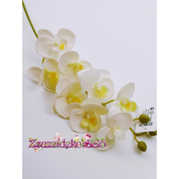 Gumi orchidea 80 cm Közepes 01