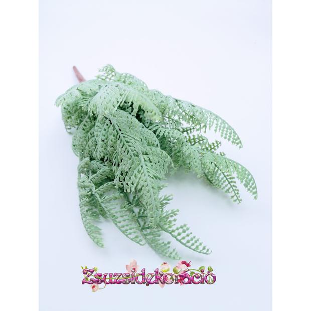 Gumi páfrány 30 cm Hamvas A