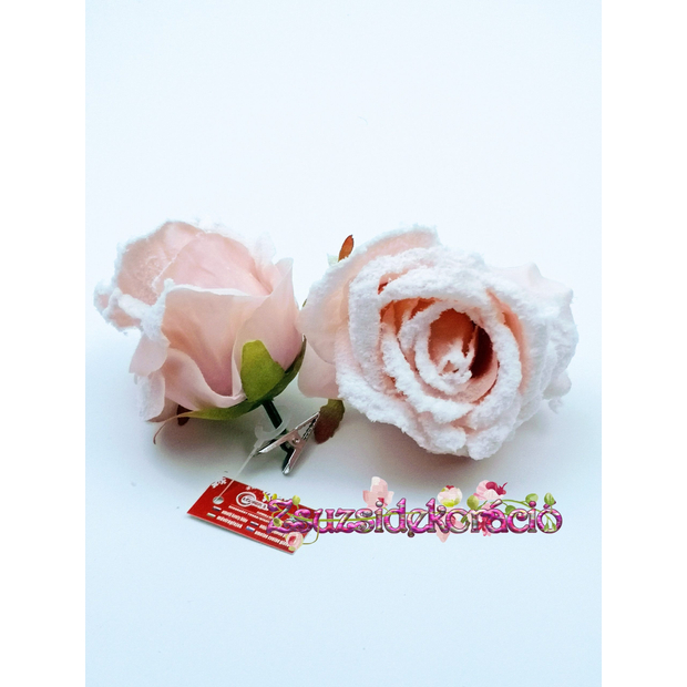 Téli rózsa havas csíptetővel 7 cm Rózsaszín