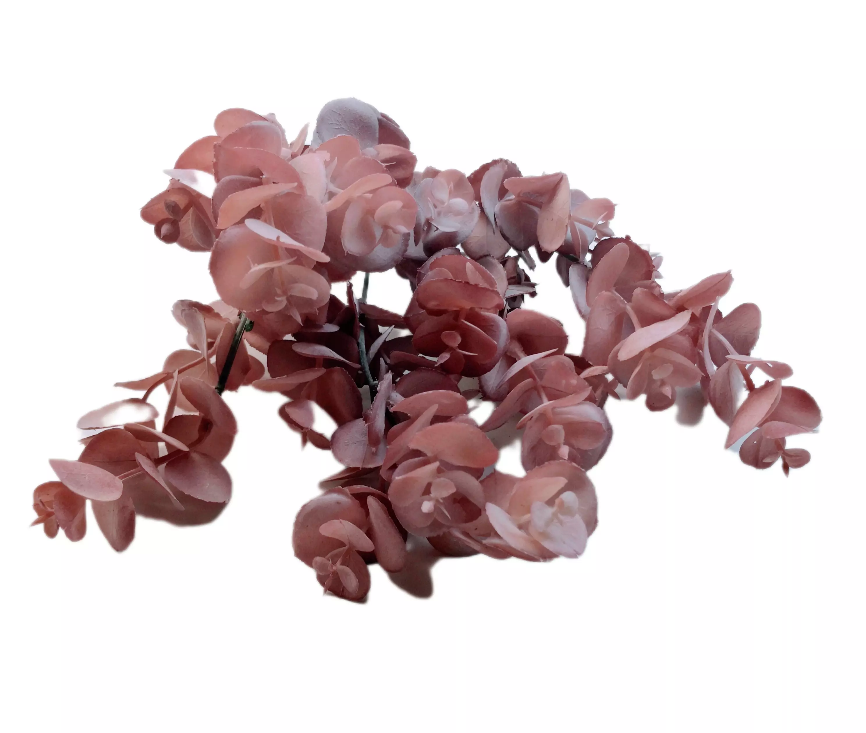 Színes kerek levelű 30 cm Pasztell mályva 