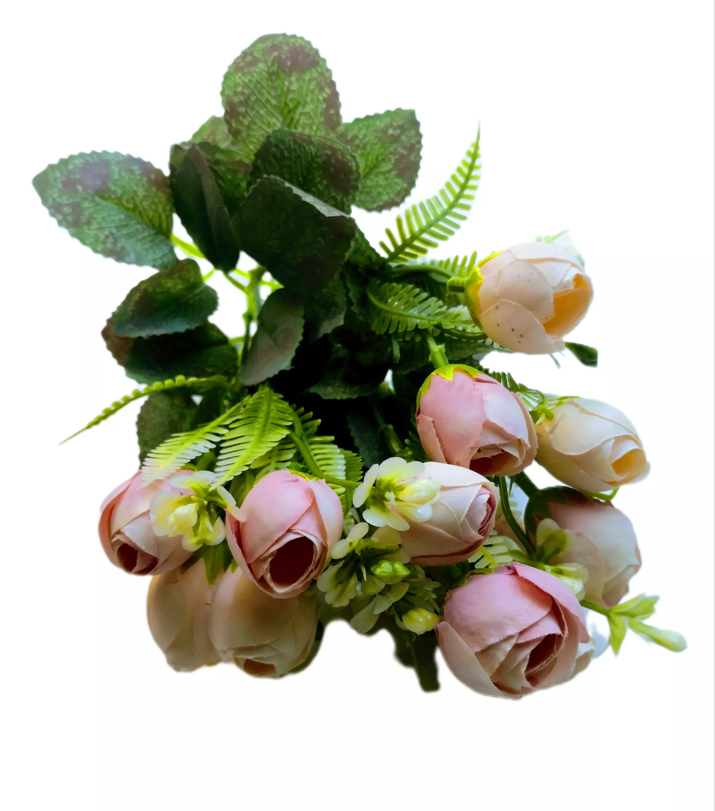 Begonia 14 db 3 cm fejű Pasztell rózsaszín-krém