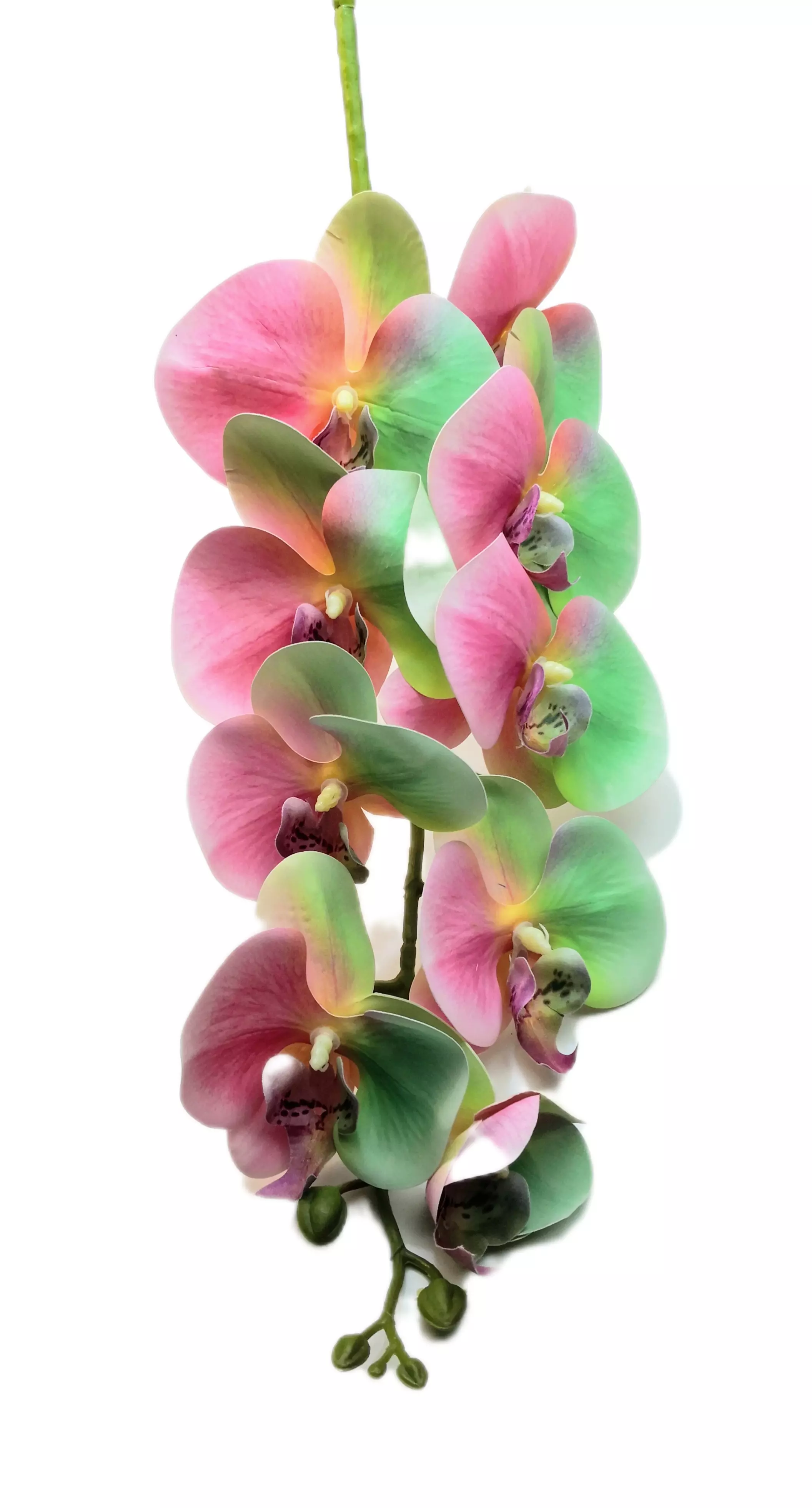 Gumi orchidea 95 cm 9 virágú 9-11 cm fejek 02
