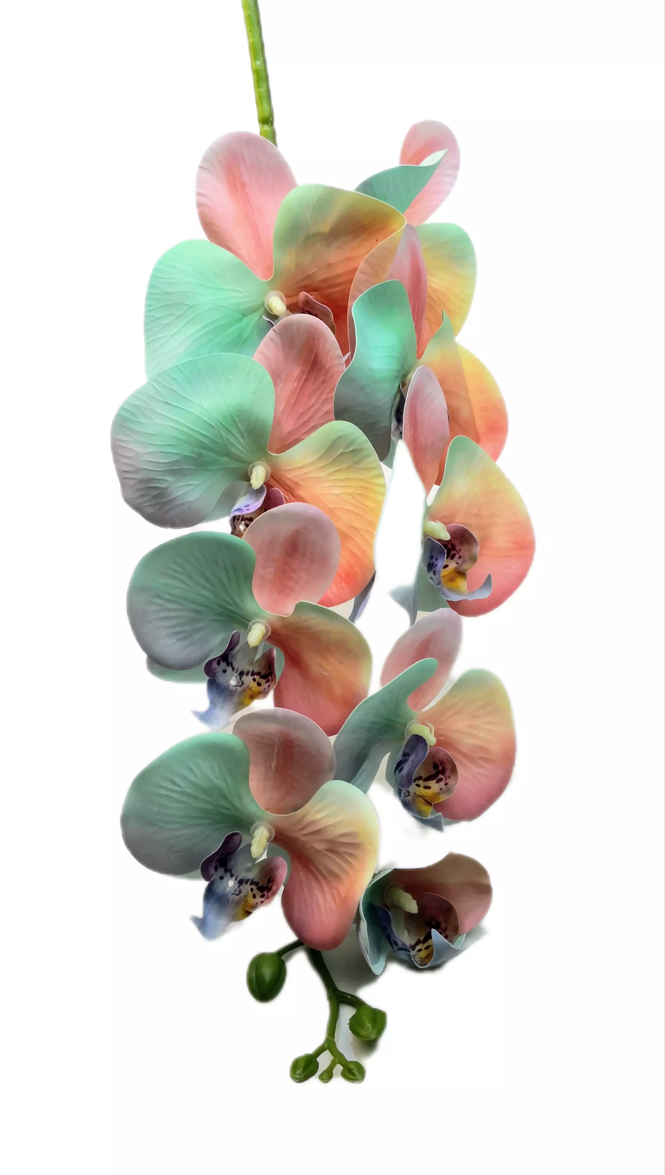 Gumi orchidea 95 cm 9 virágú 9-11 cm fejek 03