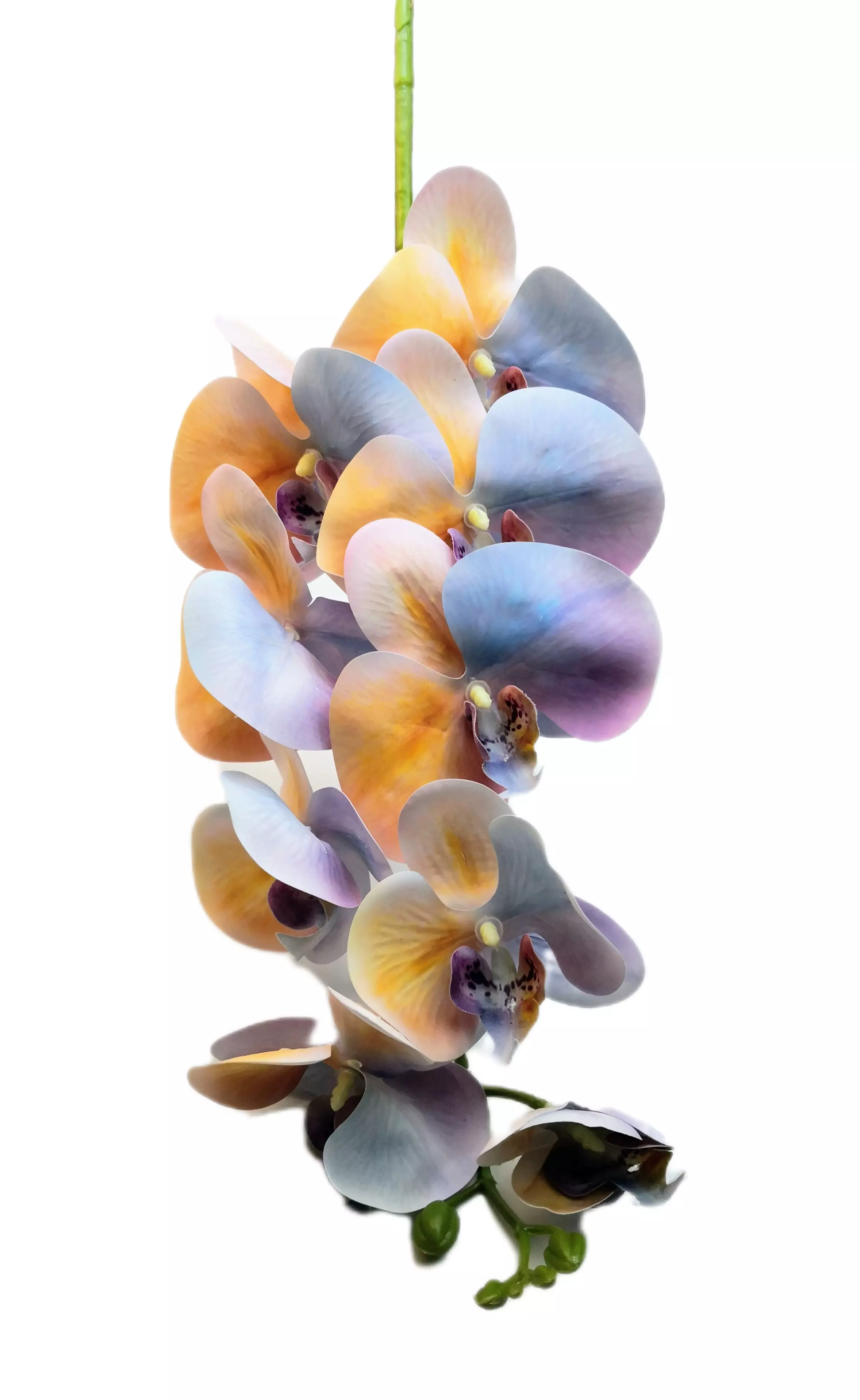 Gumi orchidea 95 cm 9 virágú 9-11 cm fejek 04
