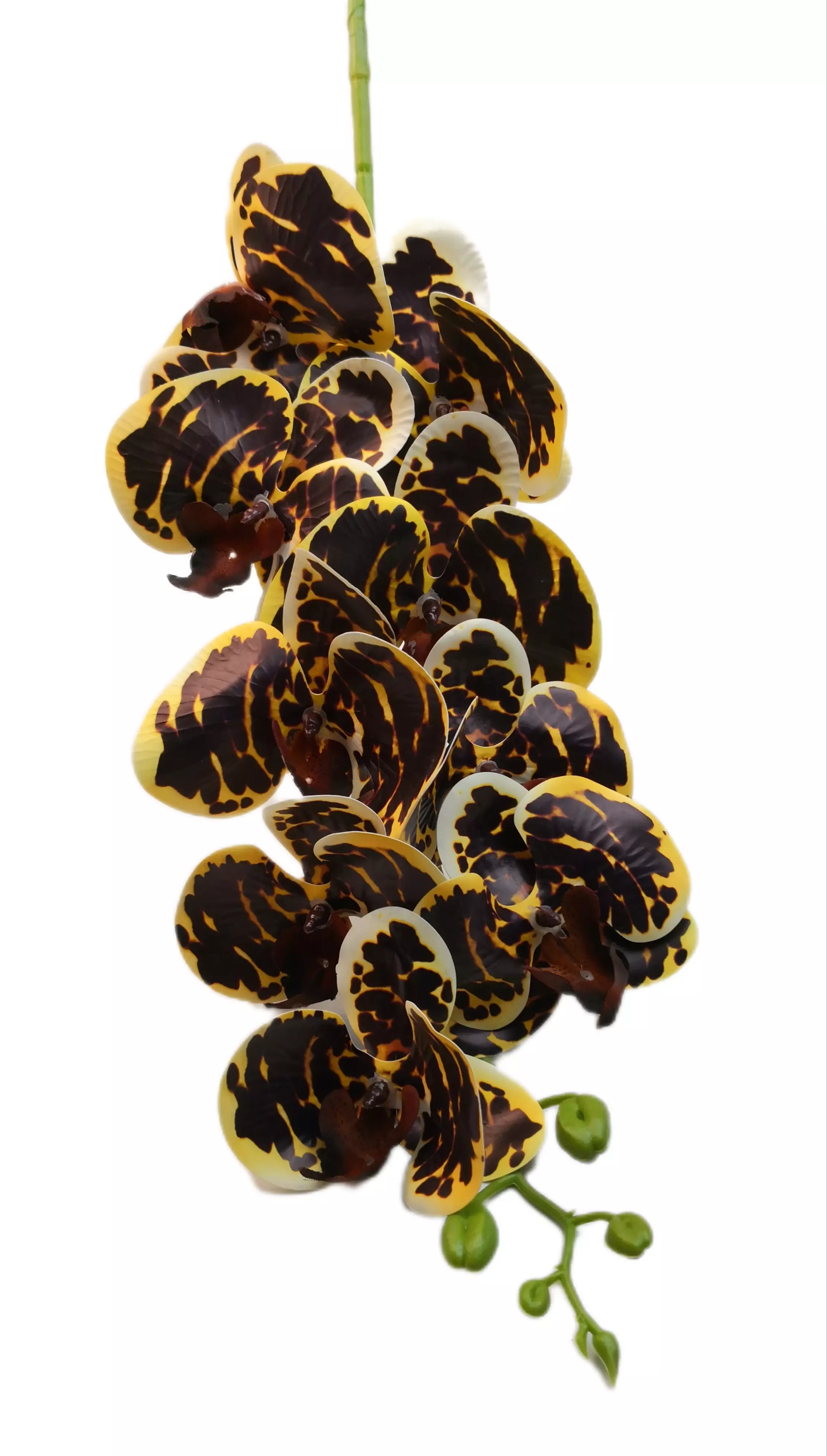 Gumi orchidea 95 cm 9 virágú 9-11 cm fejek A