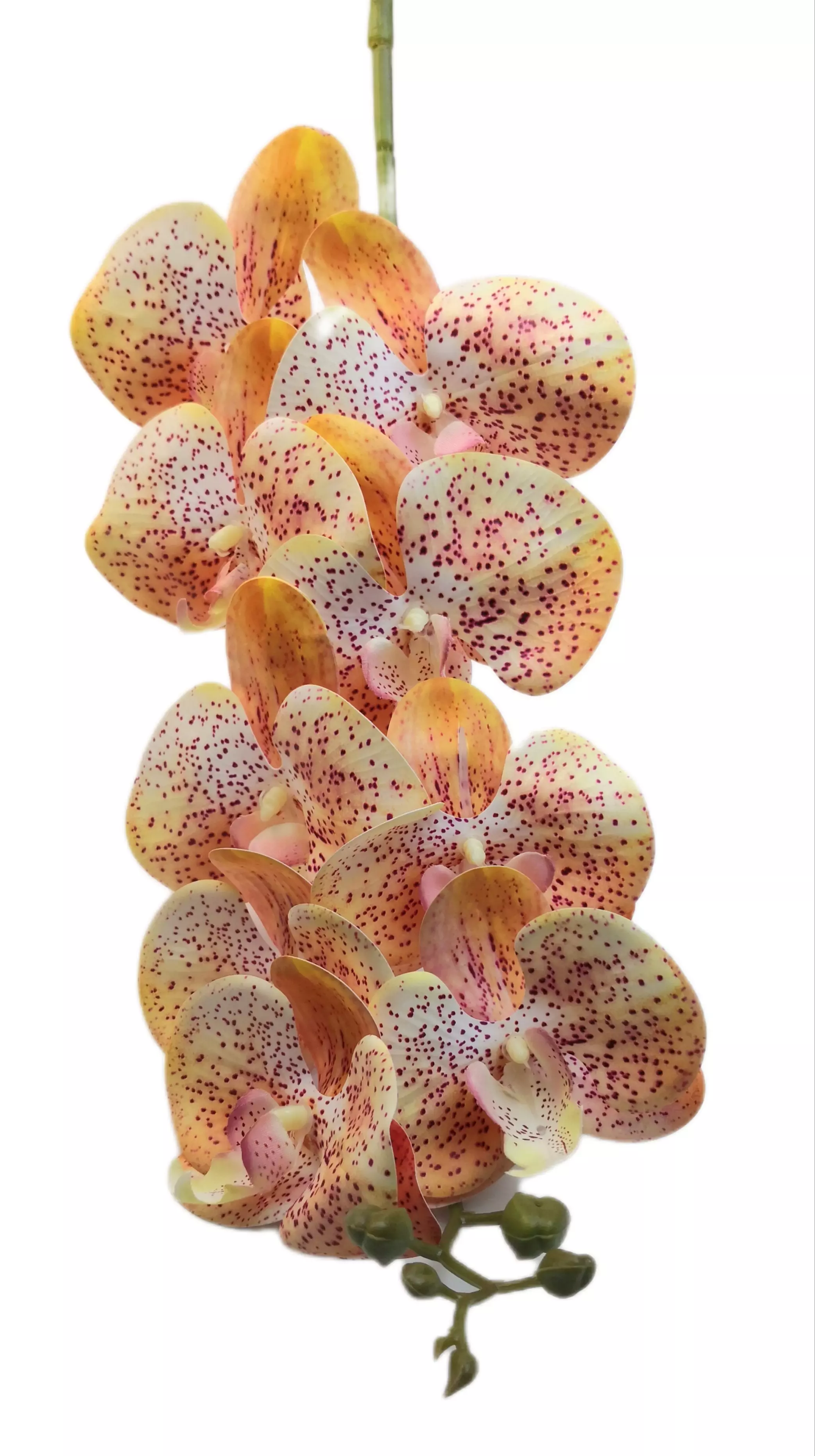 Gumi orchidea 95 cm 9 virágú 9-11 cm fejek D