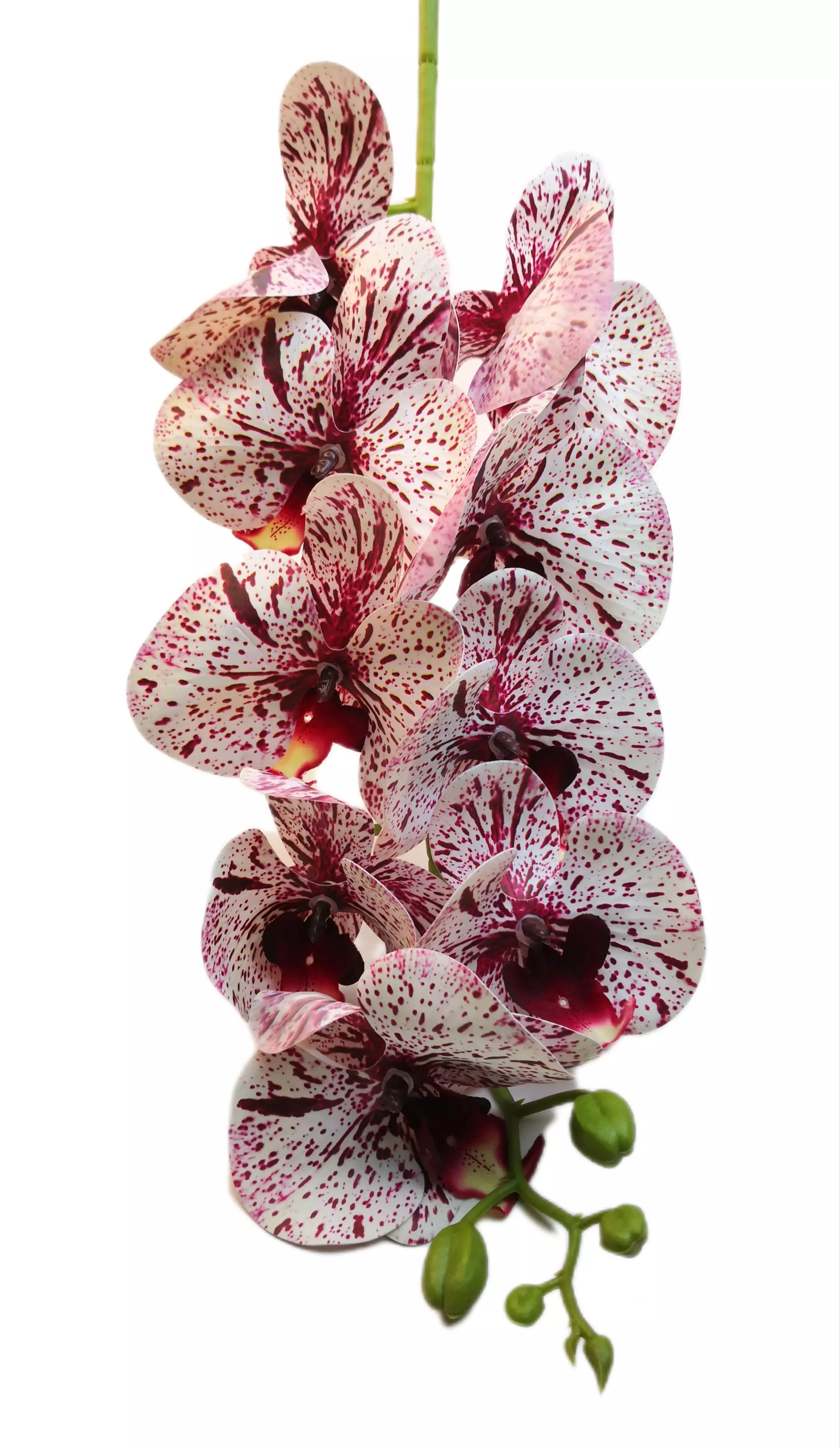 Gumi orchidea 95 cm 9 virágú 9-11 cm fejek F
