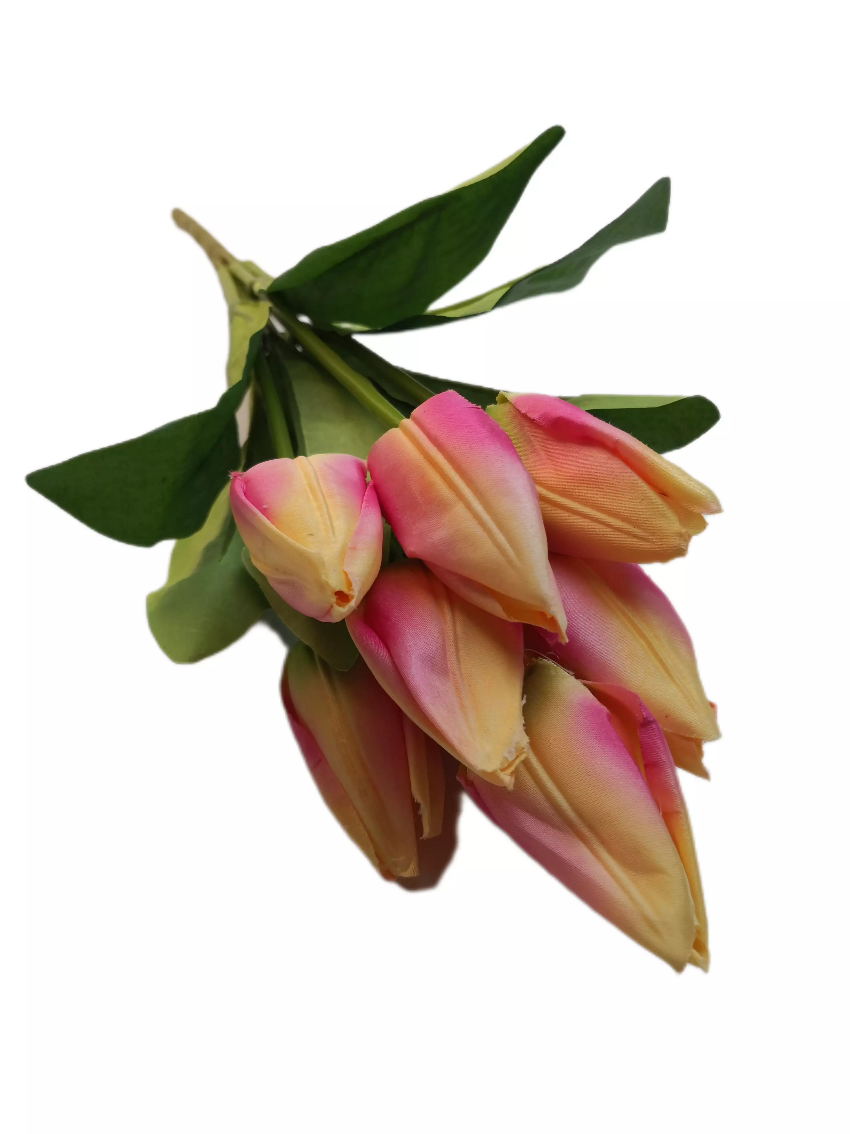 Szatén tulipán 9 db 6 cm fejű Vanília 