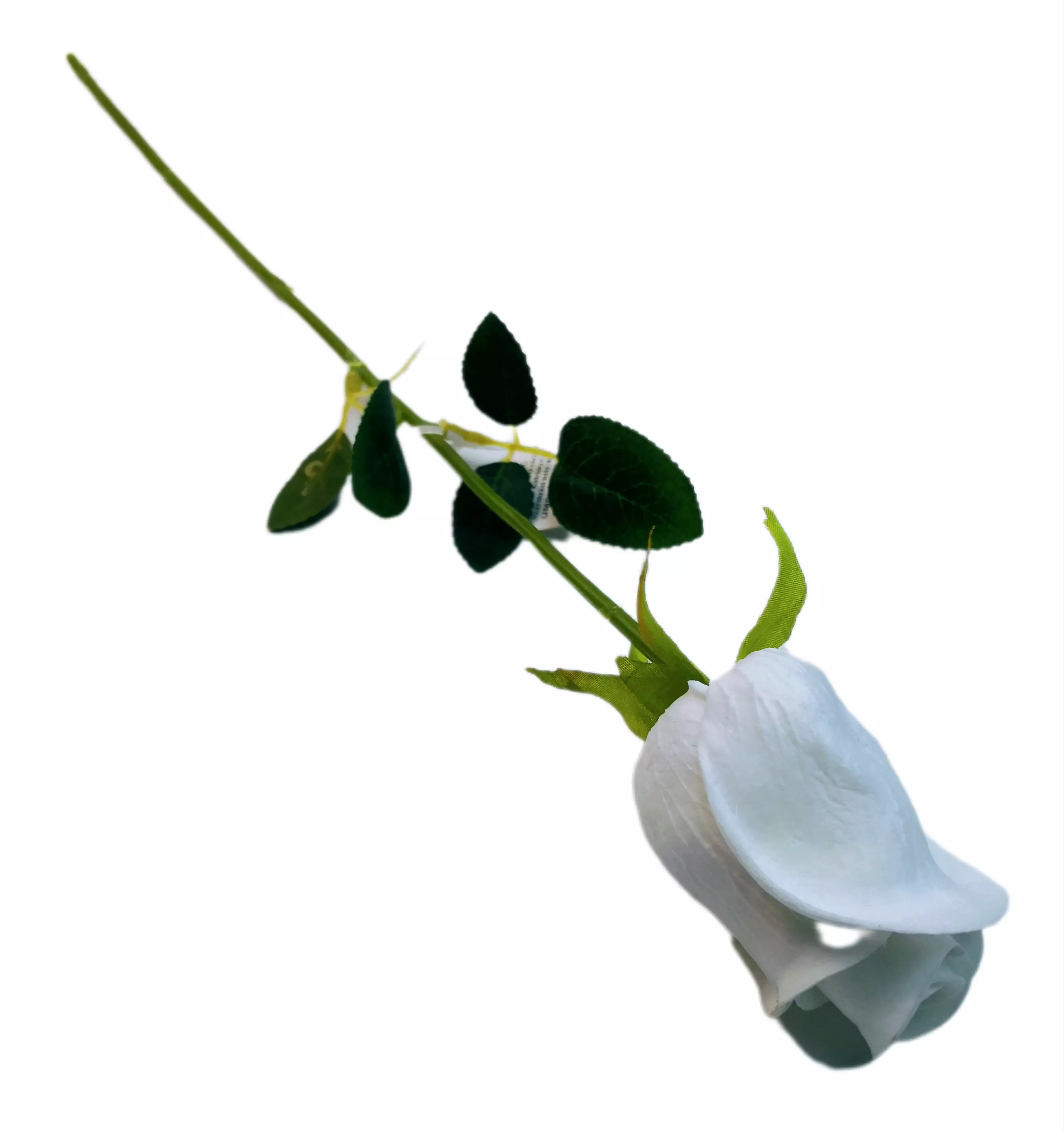 Gumi rózsa 45 cm Fehér 
