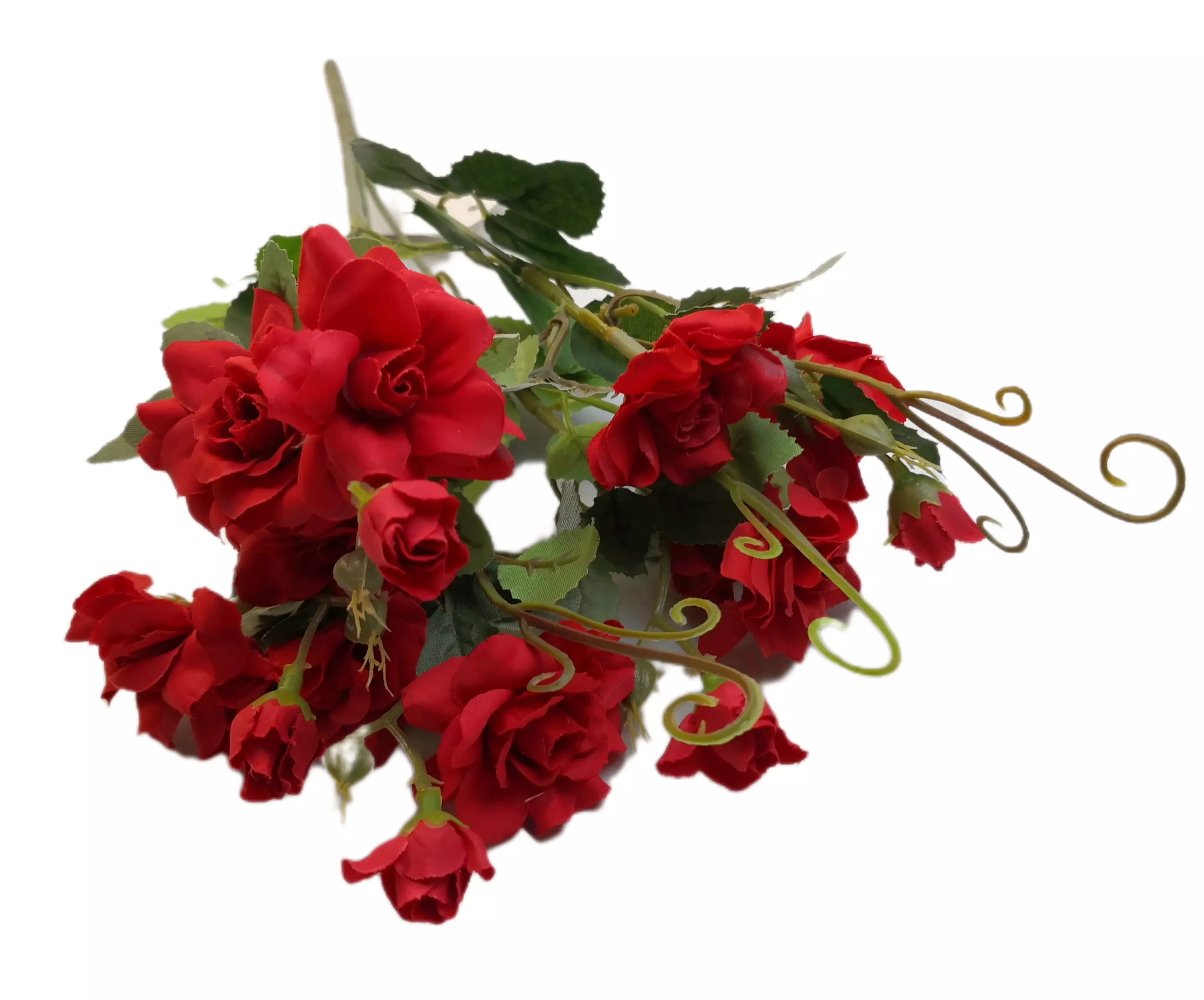Rózsabokor bimbóval 30 cm Piros