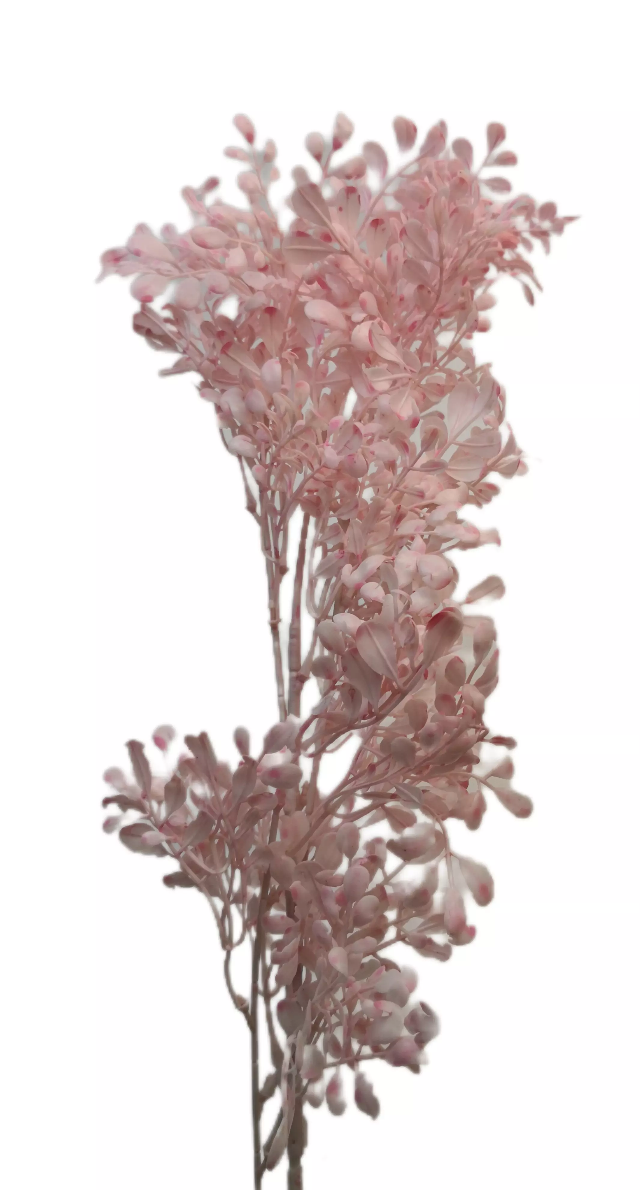 90 cm kerek leveles díszítő Rózsaszín