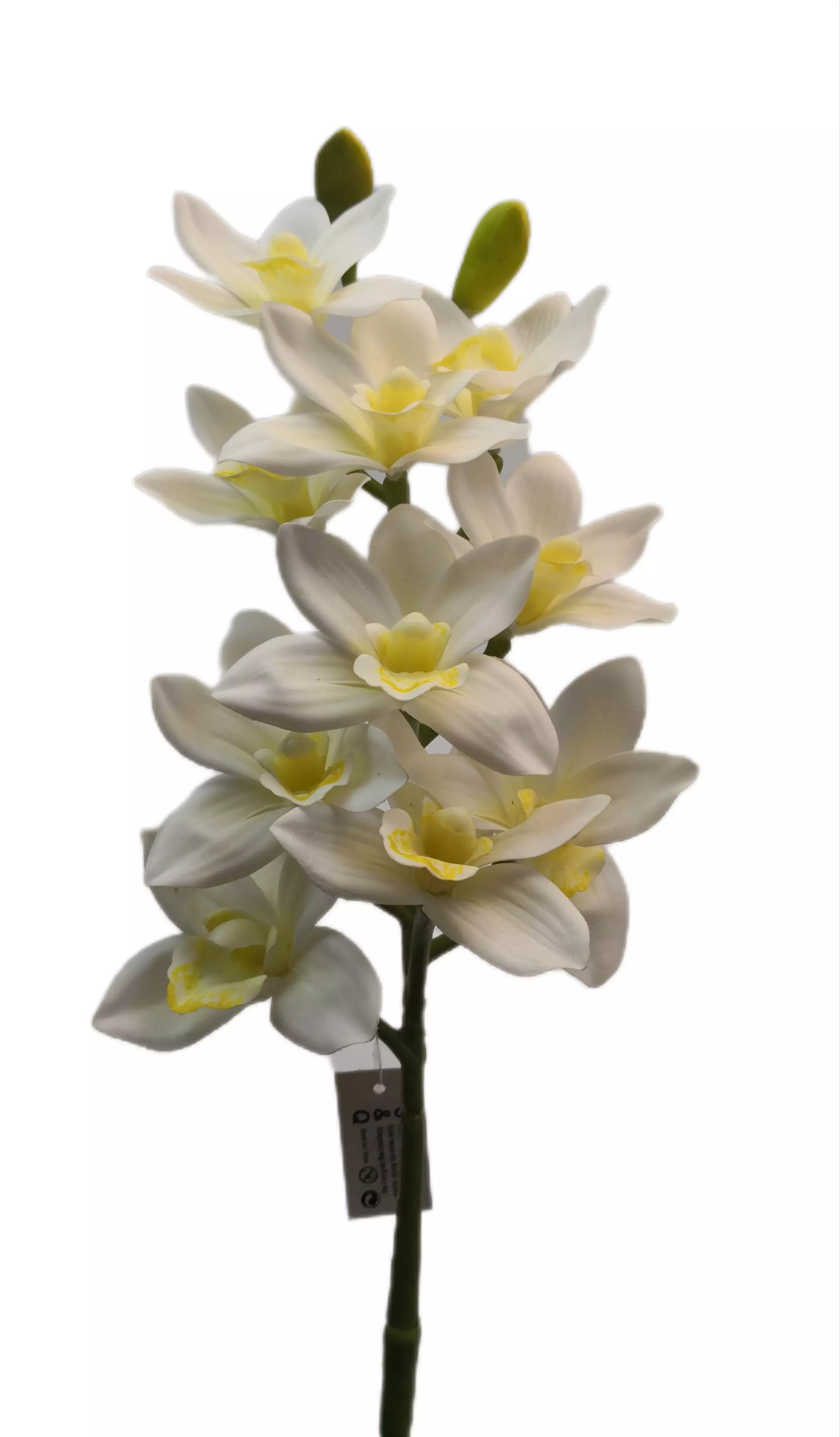 Gumi orchidea vastagszárú 67 cm 10 virágú 03