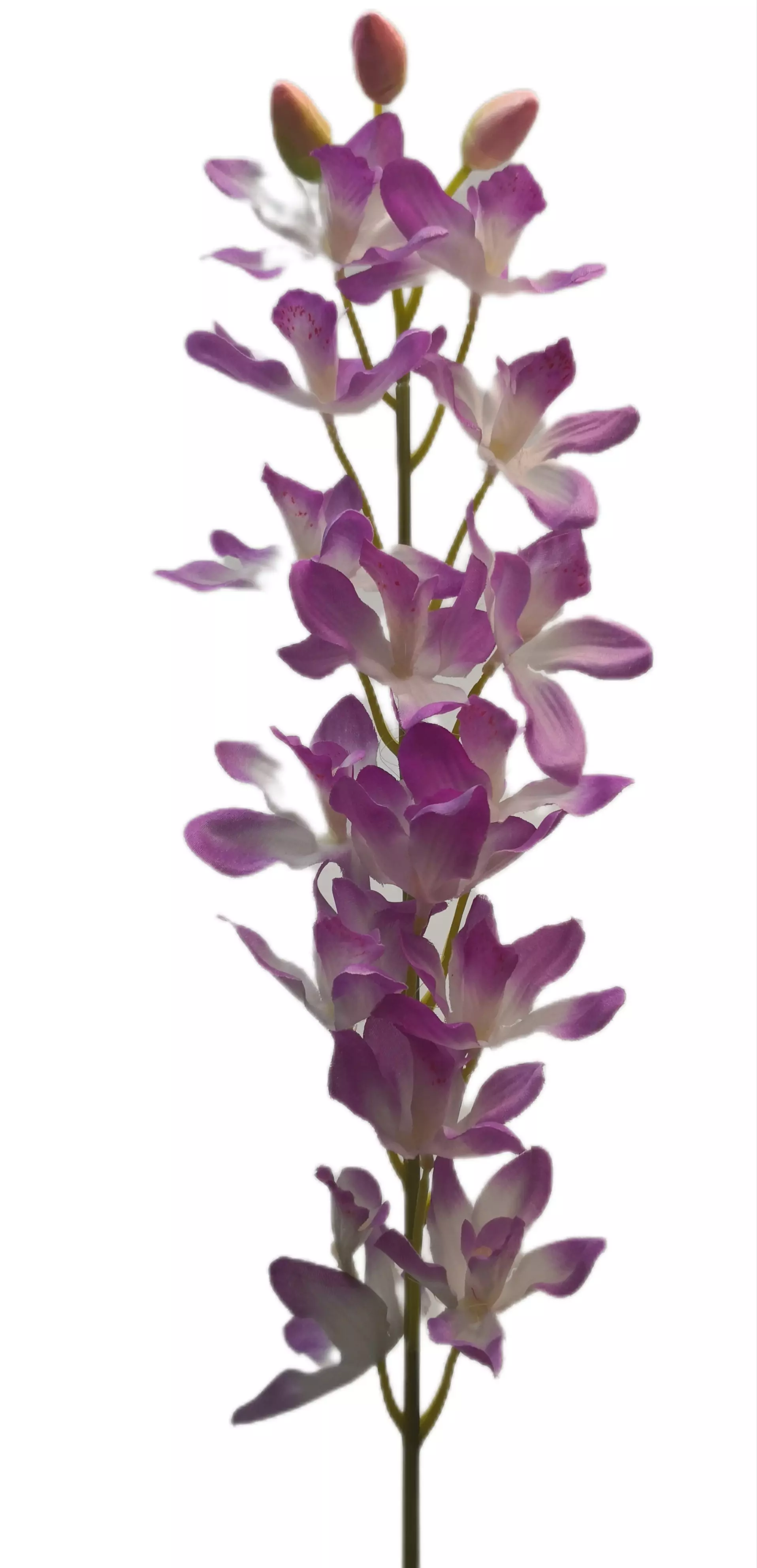 Szatén orchidea 14 virág 8 cm Lila 
