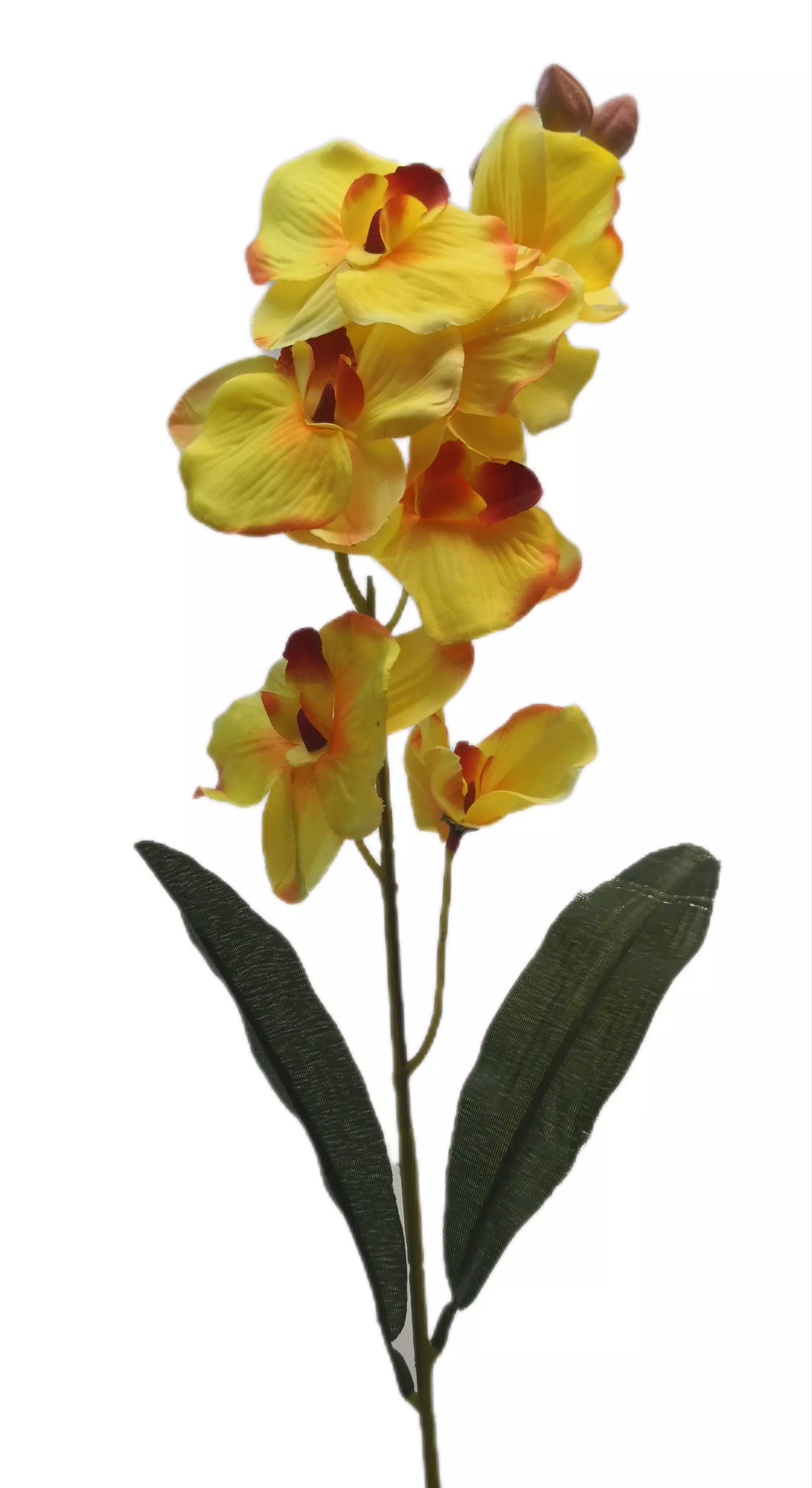 Szatén orchidea 65 cm Sárga