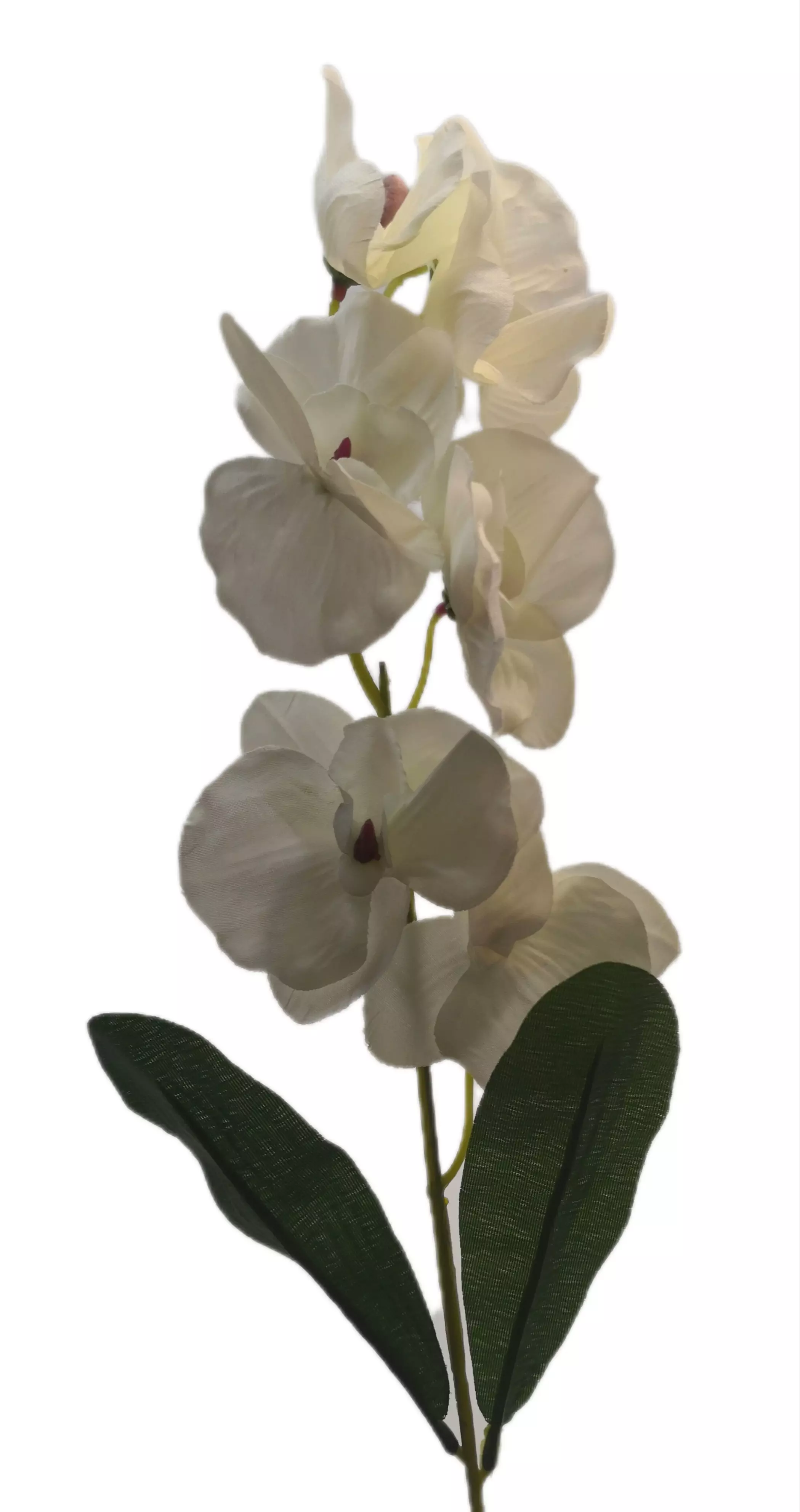 Szatén orchidea 65 cm Fehér