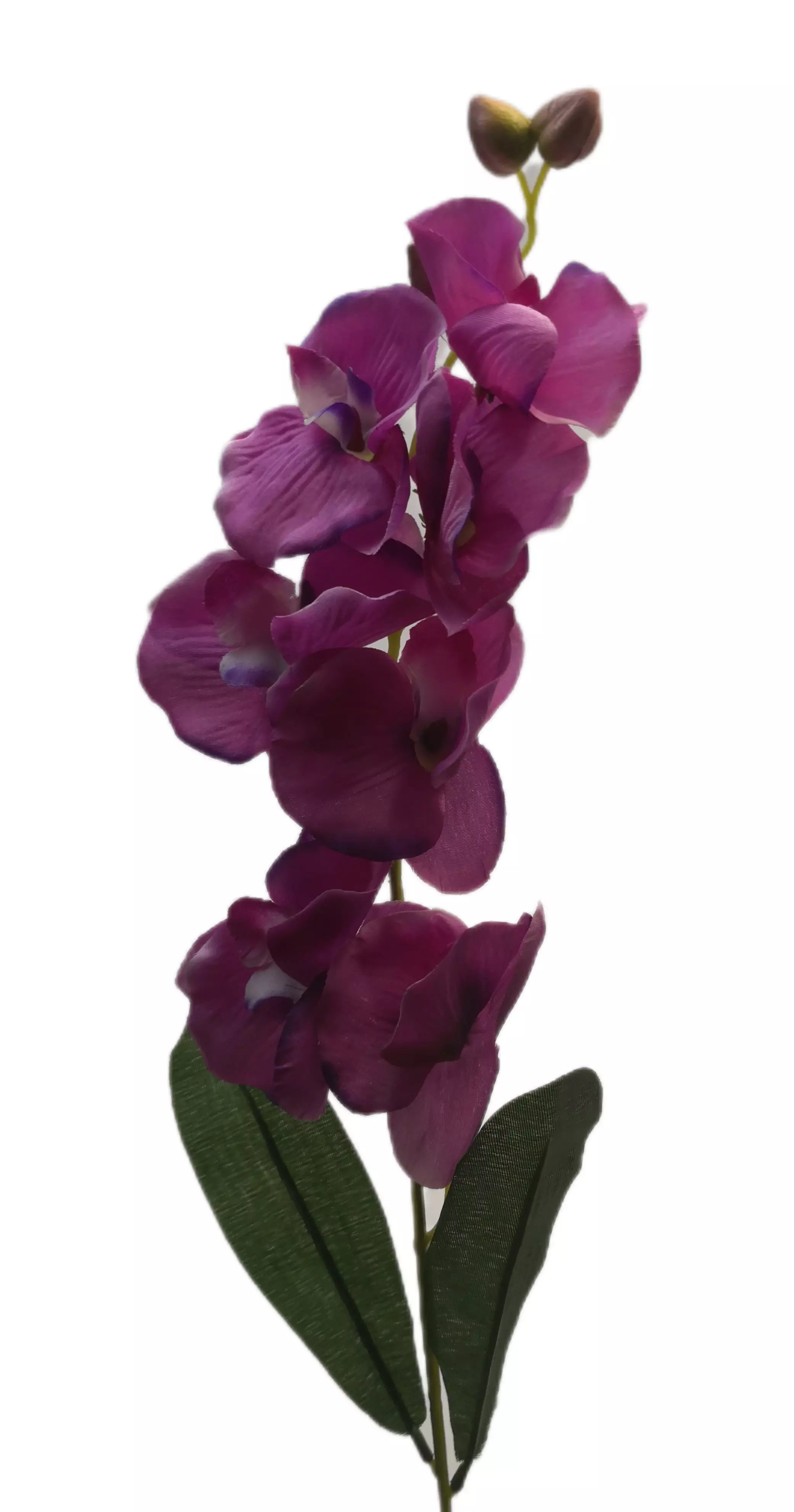 Szatén orchidea 65 cm Lila