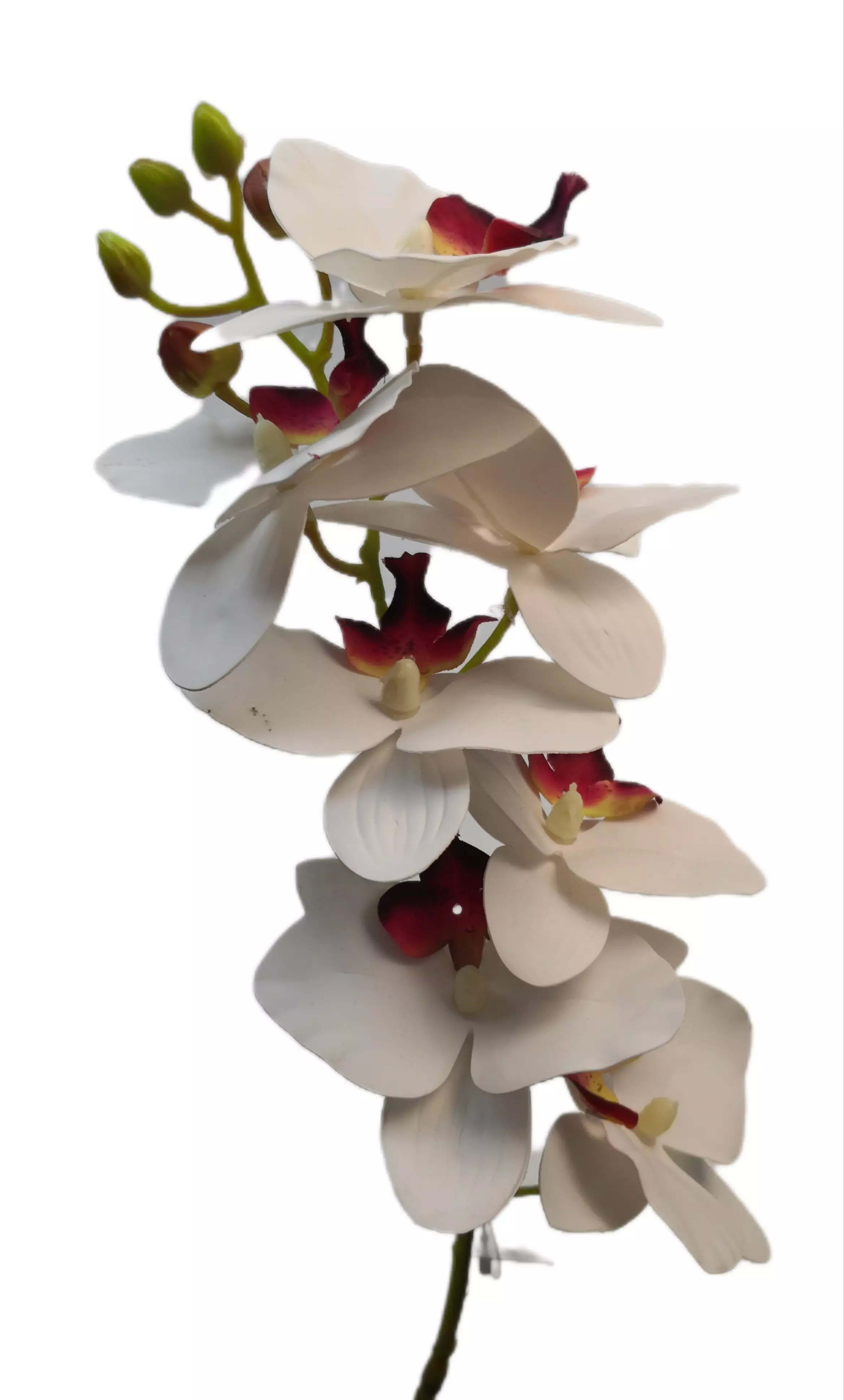 Gumi orchidea 70 cm 7 virágú 01