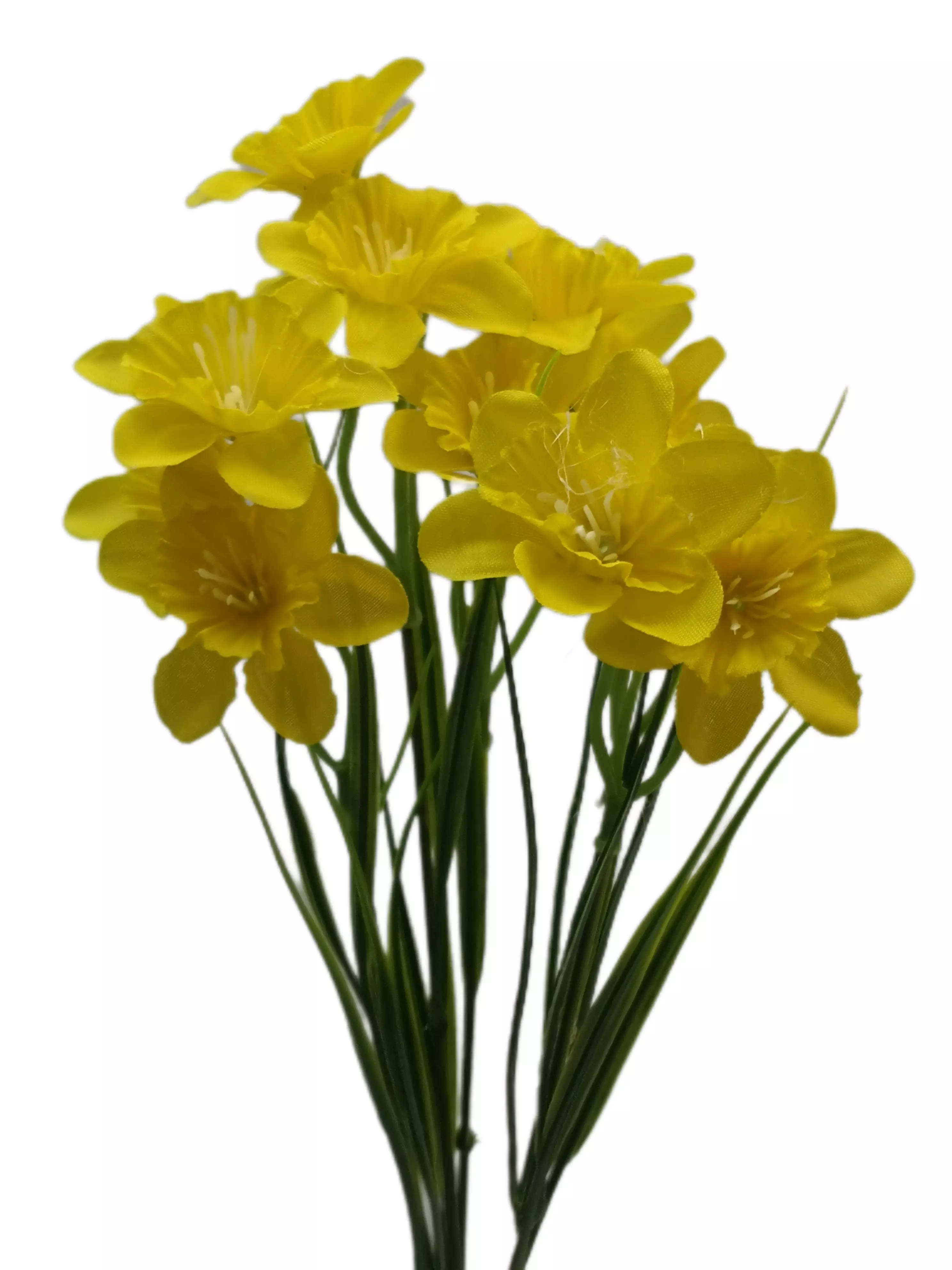 Nárcisz 15 virág 5 cm Sárga