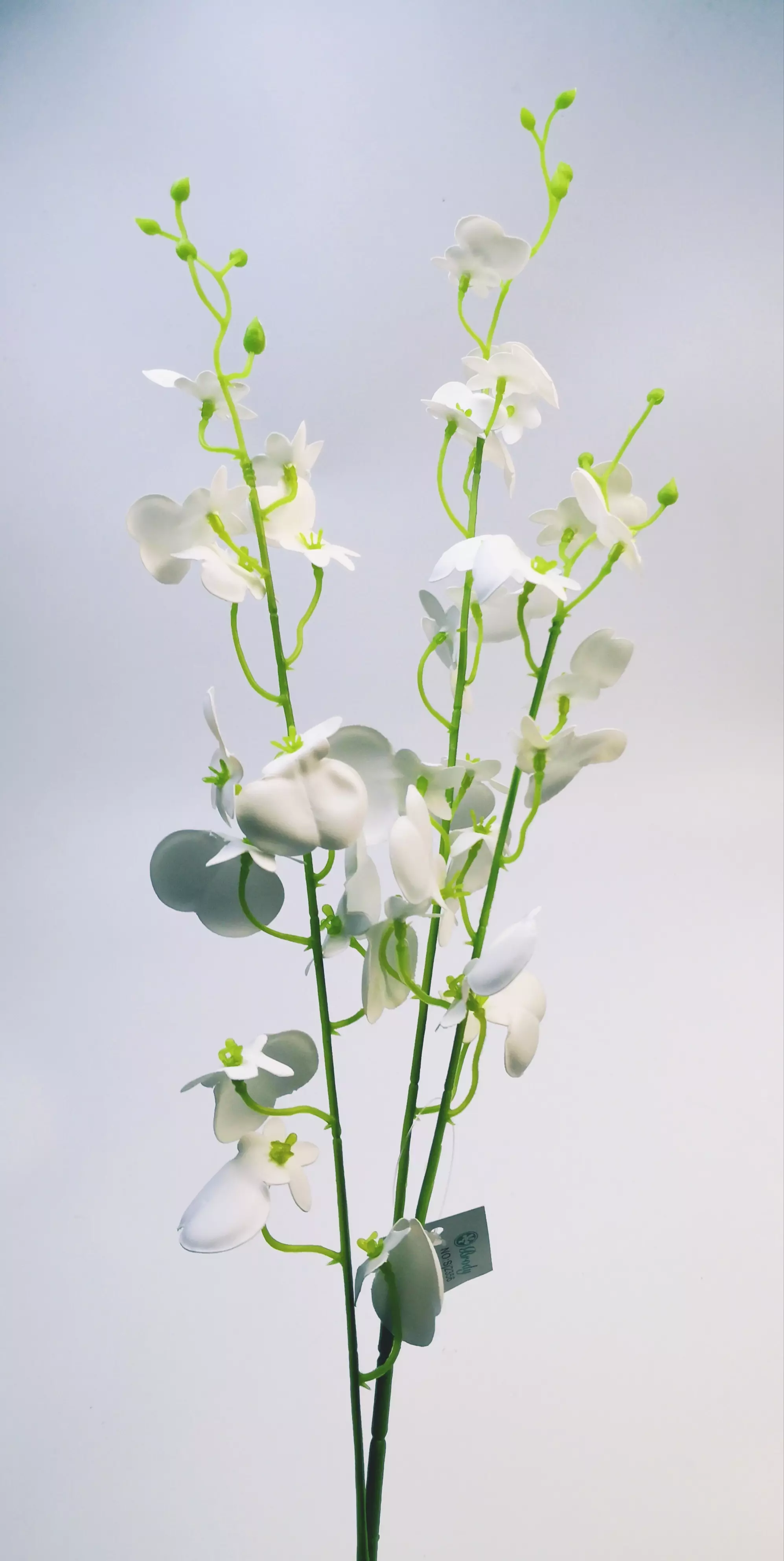 Gumi orchidea kis virágú 85 cm 32 virág 3-4 cm Fehér 