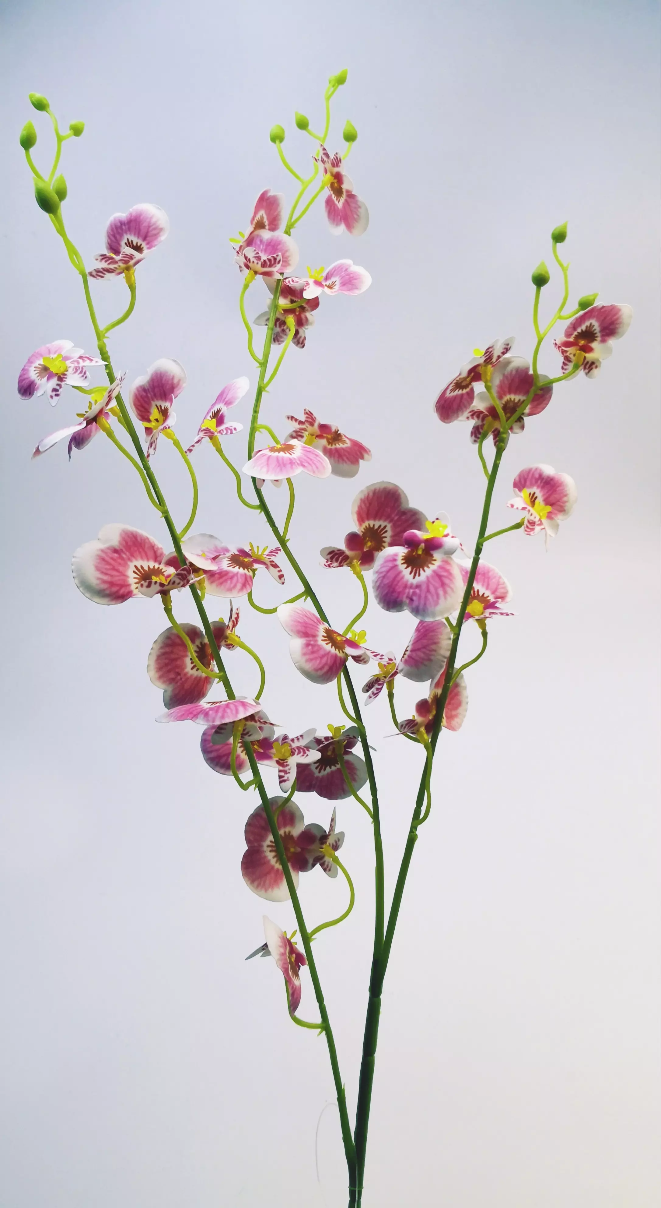 Gumi orchidea kis virágú 85 cm 32 virág 3-4 cm Rózsaszín cirmos 