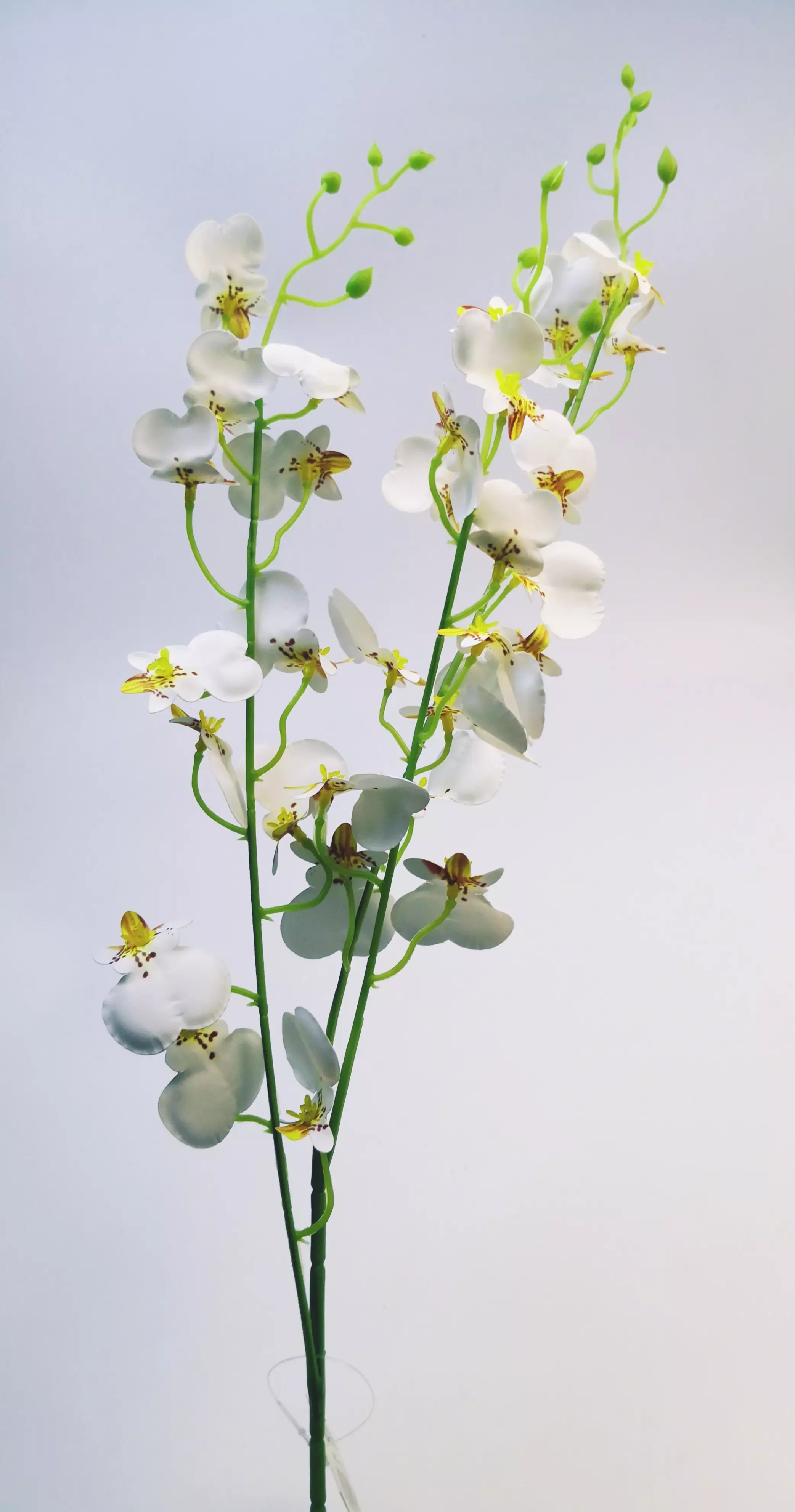 Gumi orchidea kis virágú 85 cm 32 virág 3-4 cm Fehér cirmos 