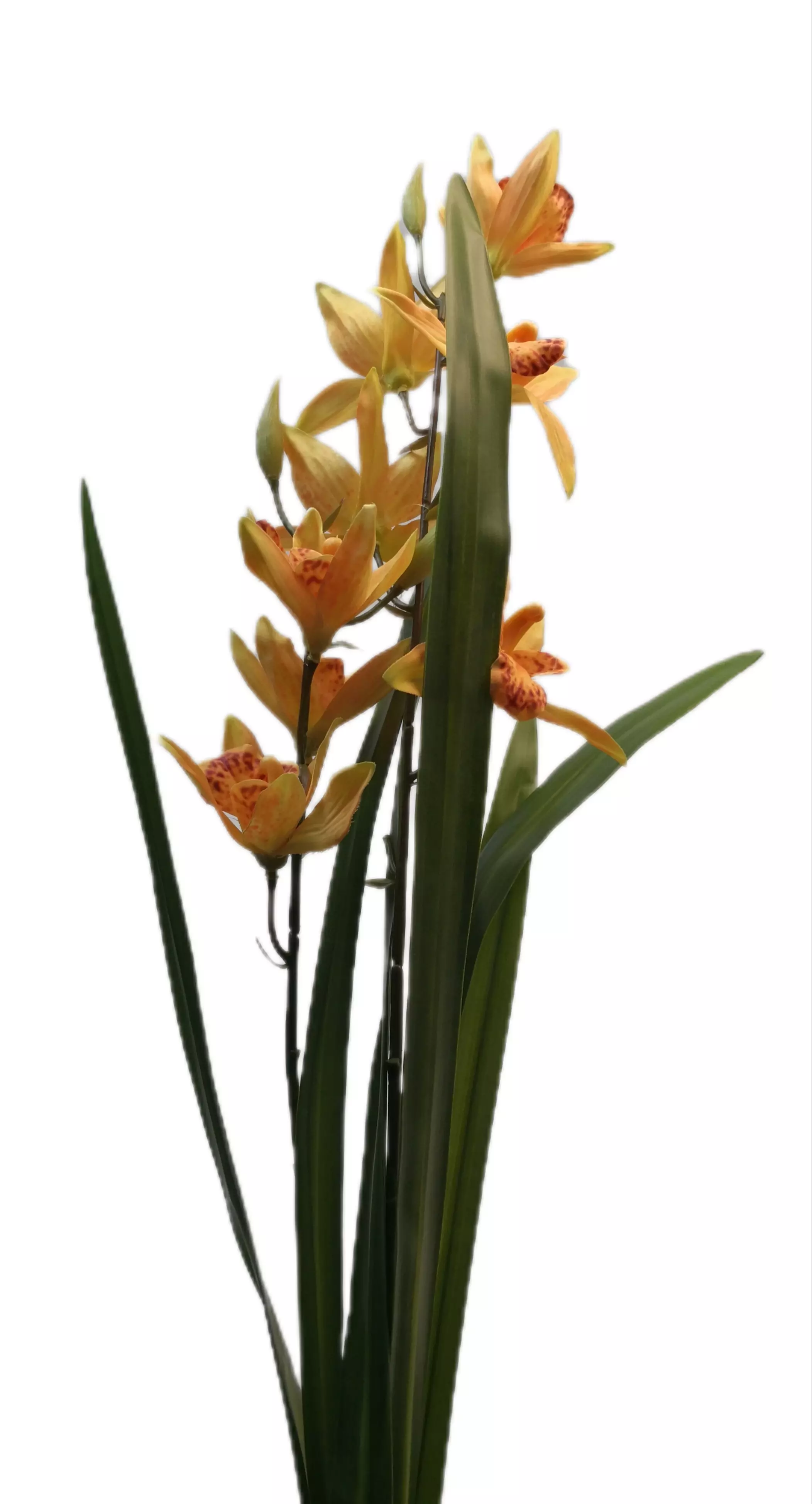 Fordított orchidea 8 db szatén virág gumi levéllel 70 cm Világosnarancs