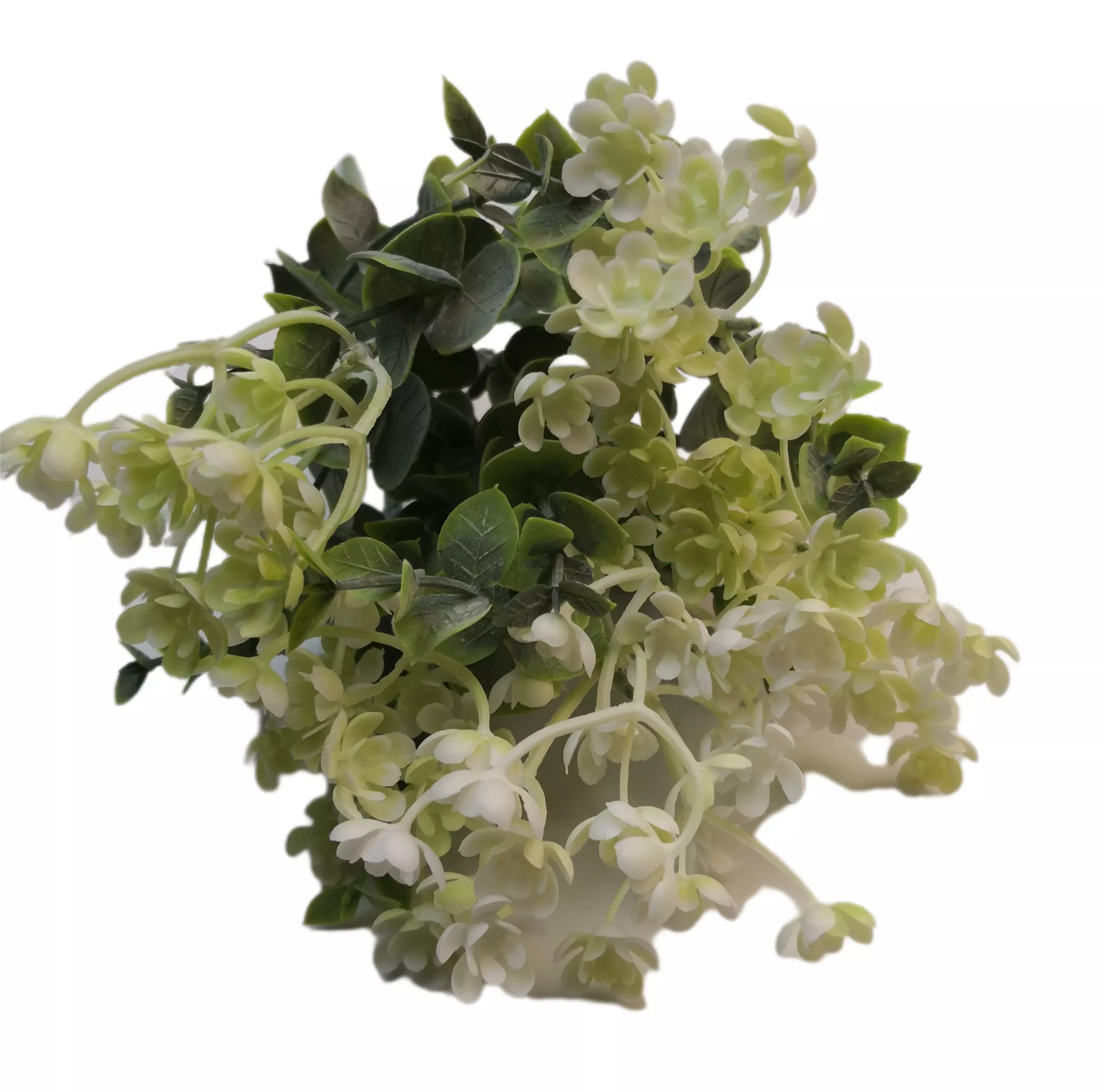 Virágos rezgő 30 cm Fehér