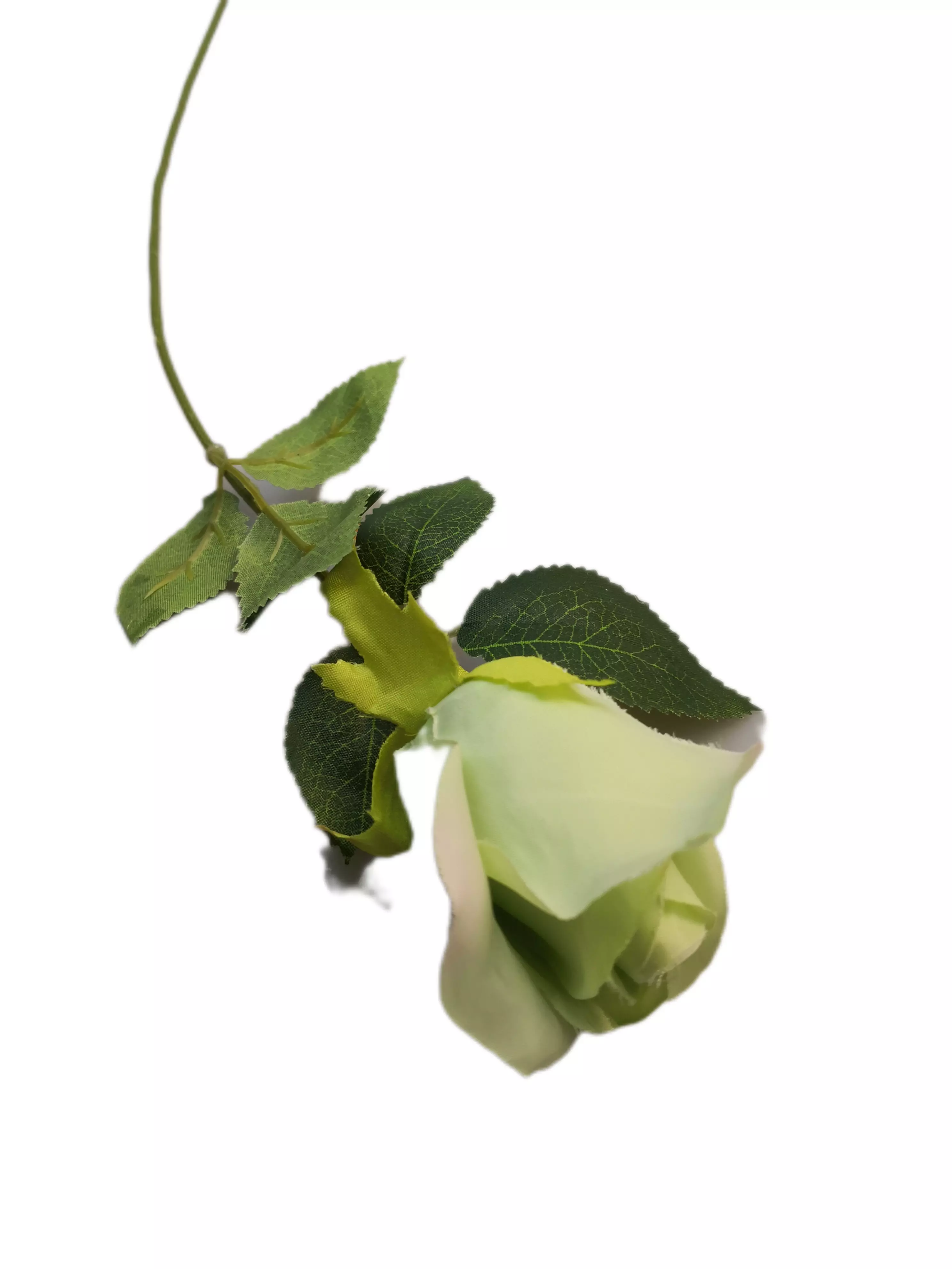 Szálas rózsa 50 cm Zöld