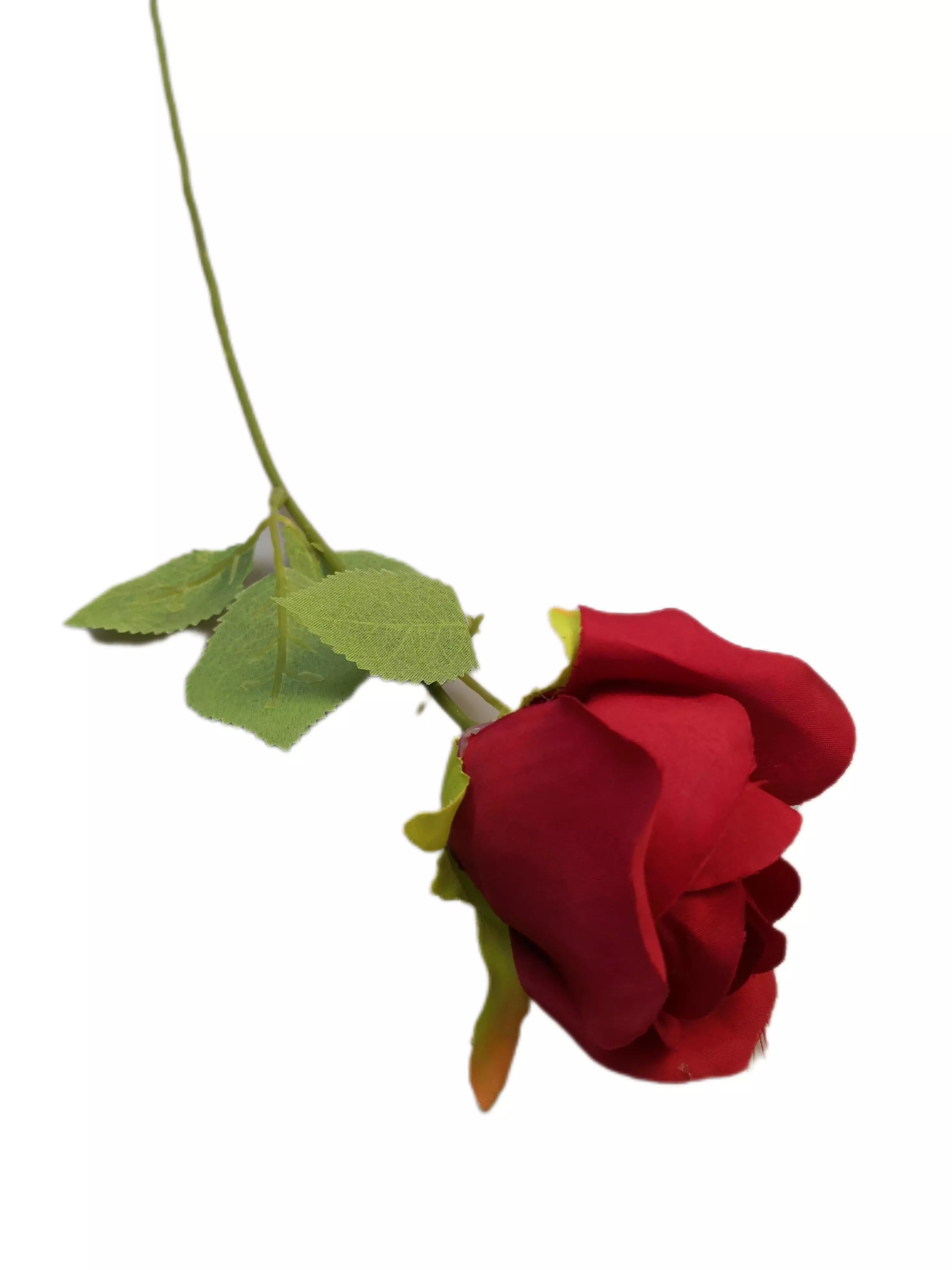 Szálas rózsa 50 cm Bordó