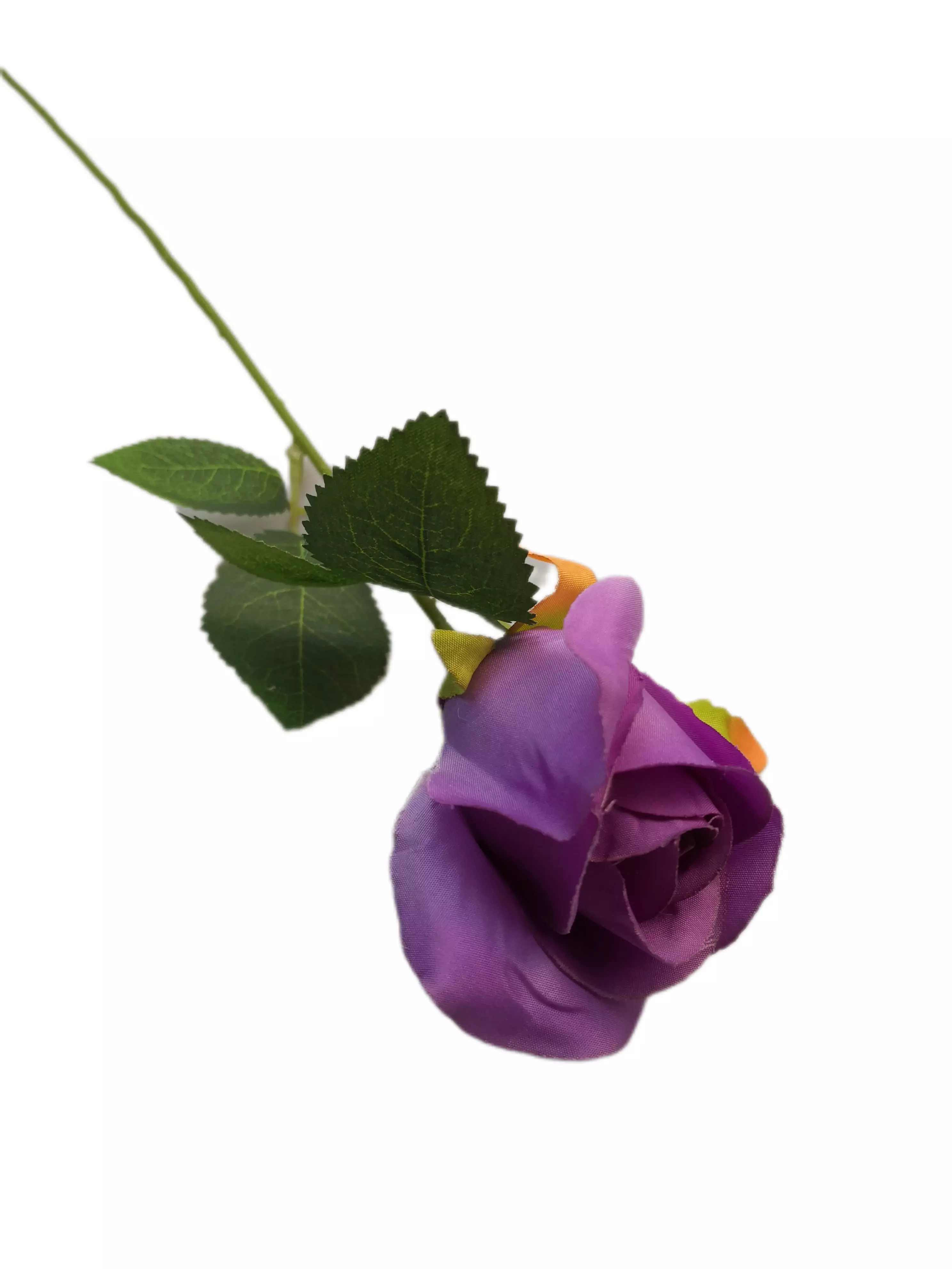 Szálas rózsa 50 cm  Lila